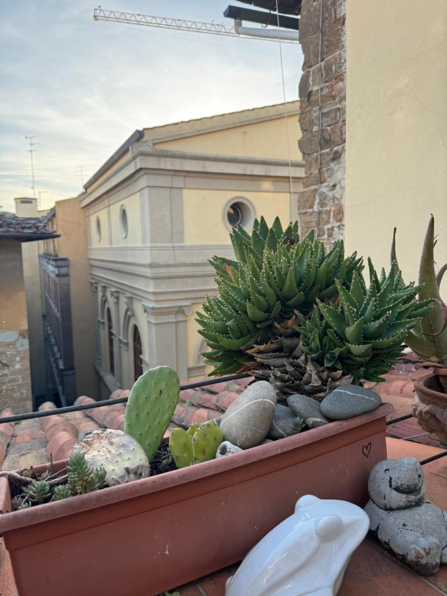 Firenze Panorama Suite & Terrace Eksteriør billede